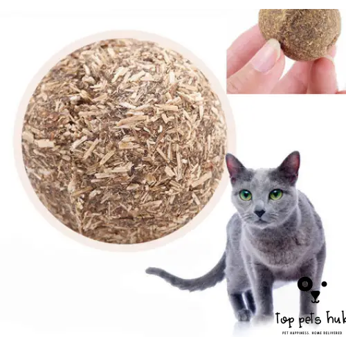 Catnip Ball Toy