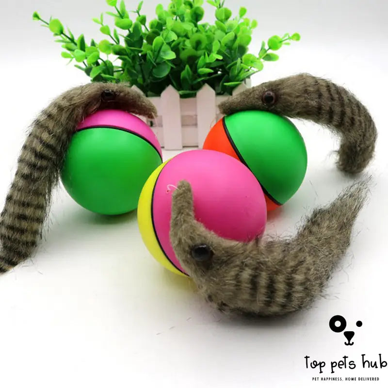 Top Pets Hub cover image