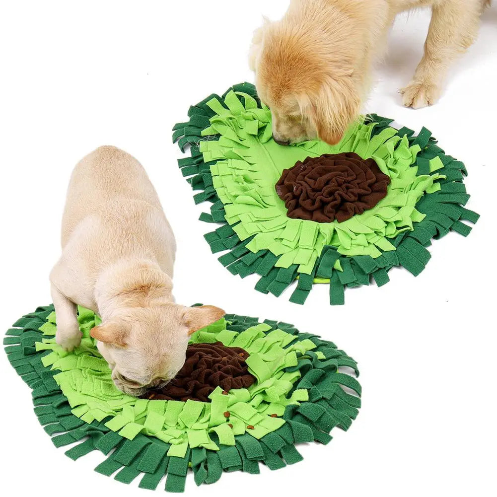 Sniffing Mat Puzzle Toy