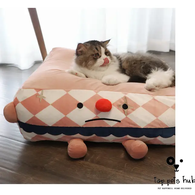 Clown Pet Bed
