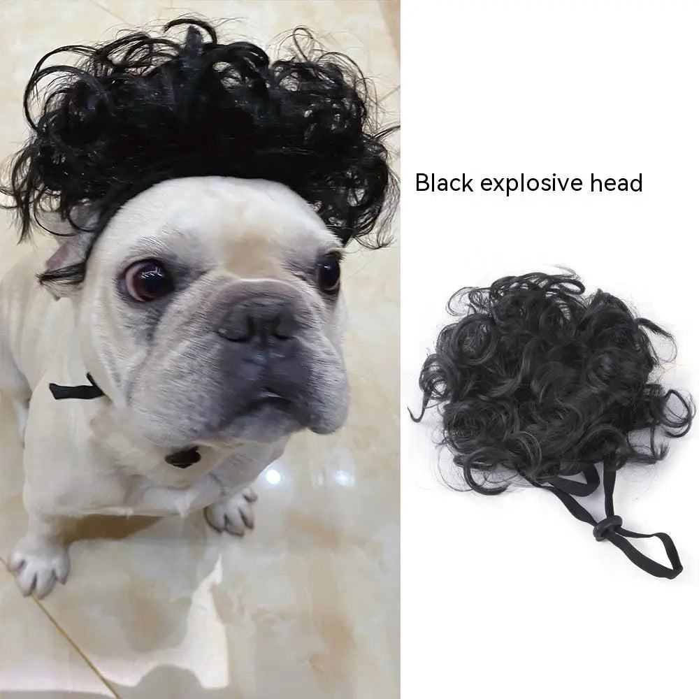 Pet Wig Afro Bangs Cat