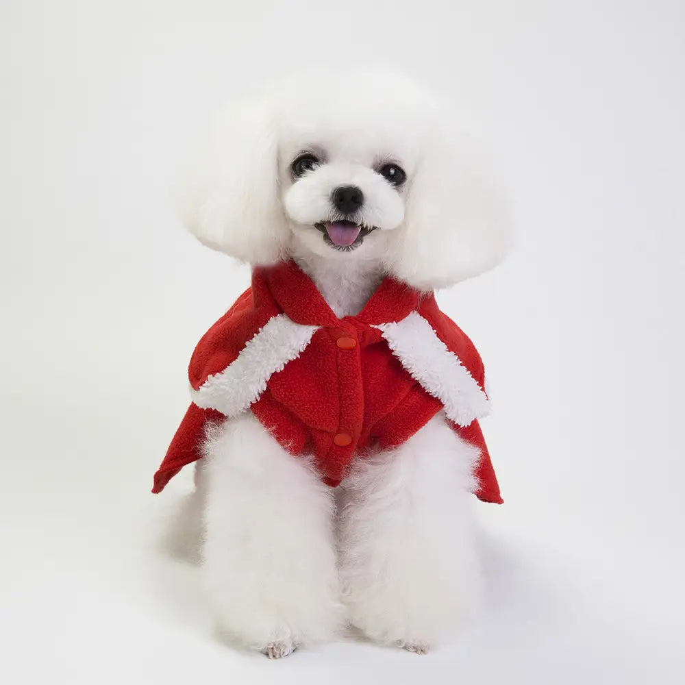 Fashionable Christmas Dog Clothes