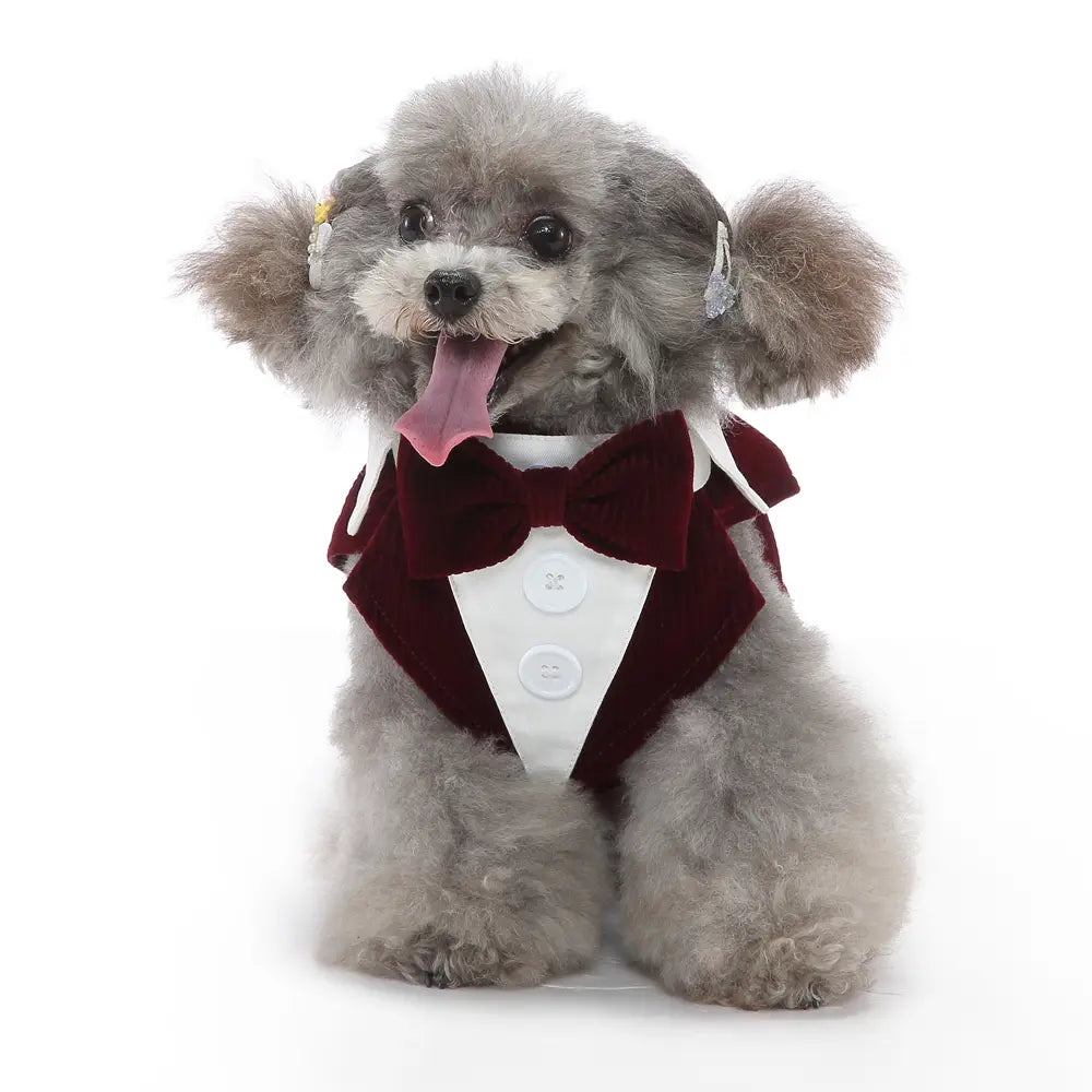 Dog Tuxedo Clothing