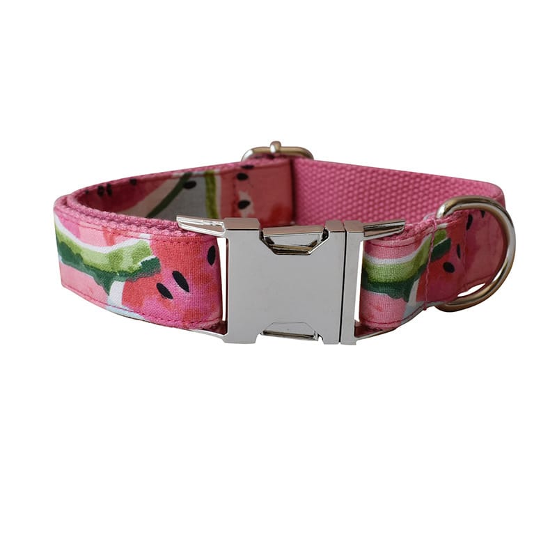 Dog Collar and Leash Set