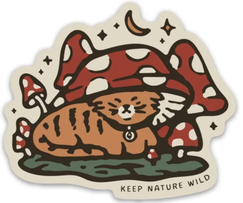 Toadstool Tabby