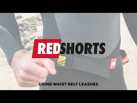 Waist Leash Belt