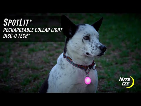 Spotlit Rechargeable Collar Light - Disc-O Tech
