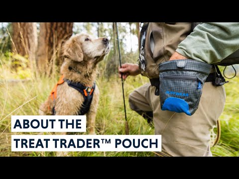 Treat Trader Pouch