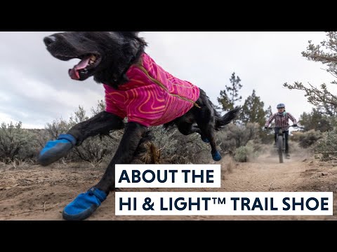 Hi & Light Trail Shoes
