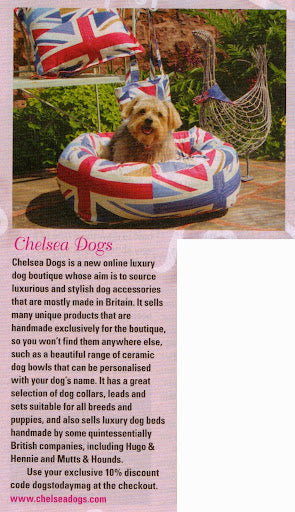 Chelsea Dogs featured in Dogs Today Magazine Chic Boutiques September 2012