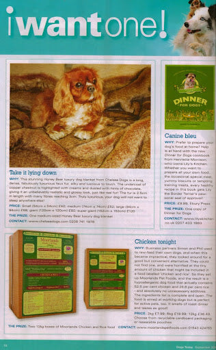 Chelsea Dogs Dogs Today Magazine I Want One Feature September 2012 Issue