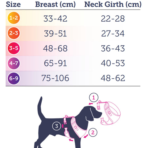 Doodlebone Airmesh Dog Harness Size Guide