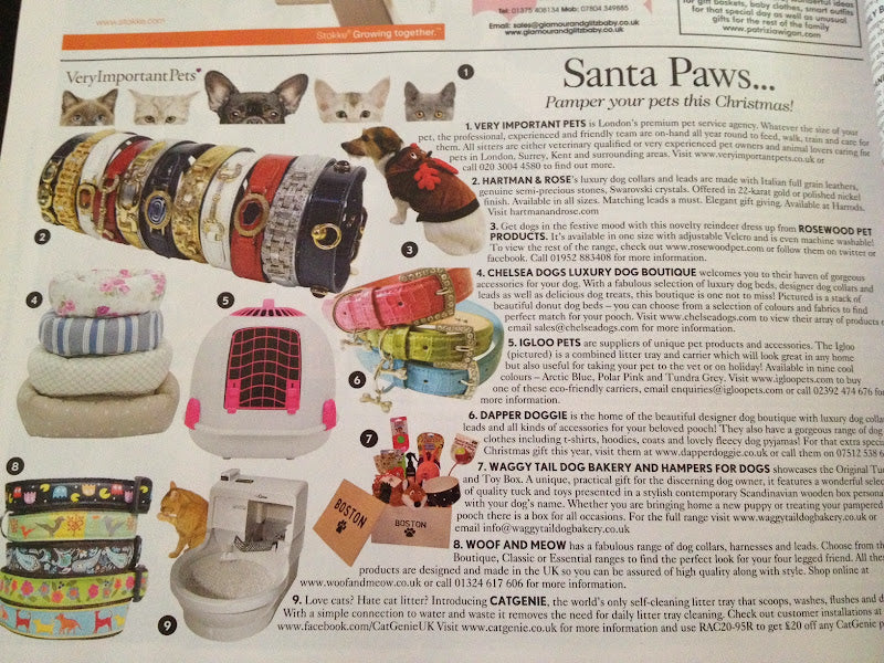 Chelsea Dogs featured in Vogue Magazine December 2012 Santa Paws