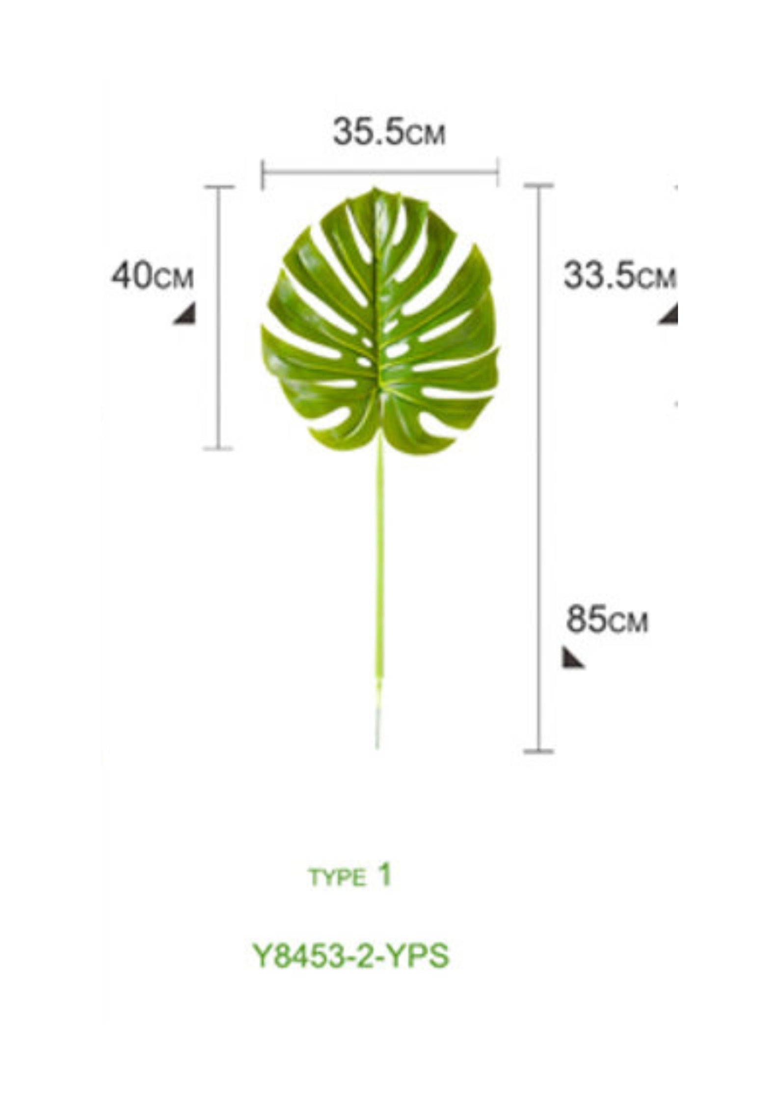 Hoja Monstera
