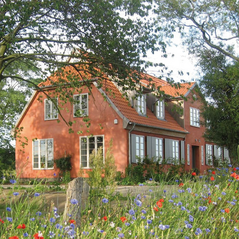 Das Brombeerhaus Üselitz im blühenden Frühling