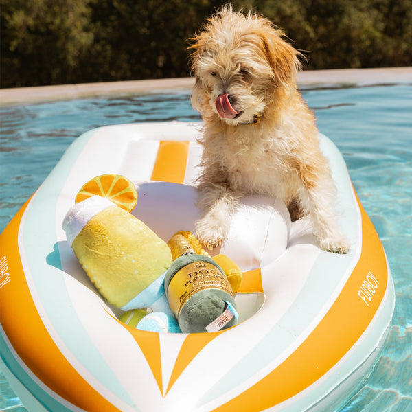 barkbox funboy dog float