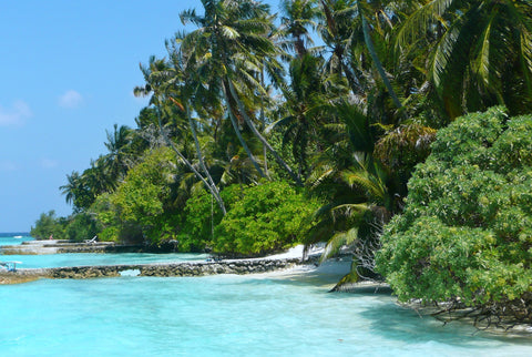 beautiful maldives