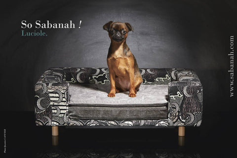 Canape pour chien Le Couture Urban Sabanah