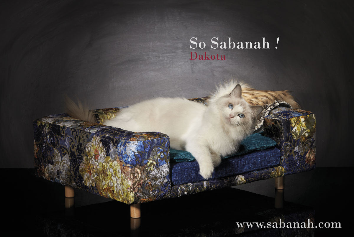 Lit Pour Chat Canape De Luxe Pour Chat Le Couture Sabanah France