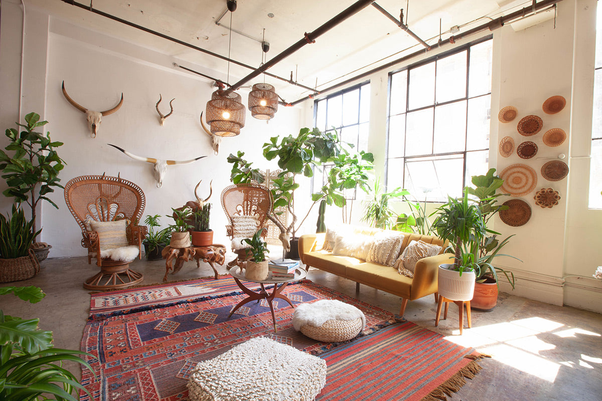 Living room featuring eclectic boho decor