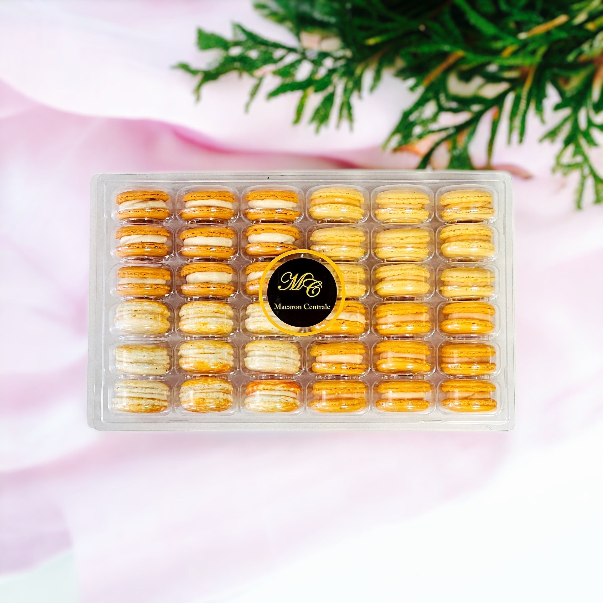 Orange Vibe: A Flavorful Quartet of French Macarons in One Set | 36 Pack
