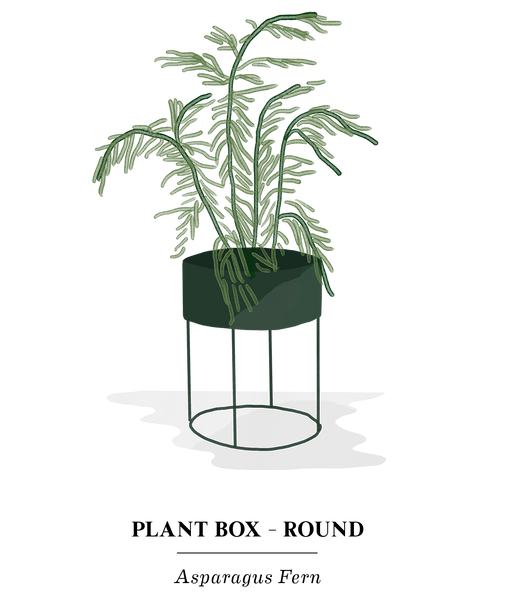 plant box round ferm living