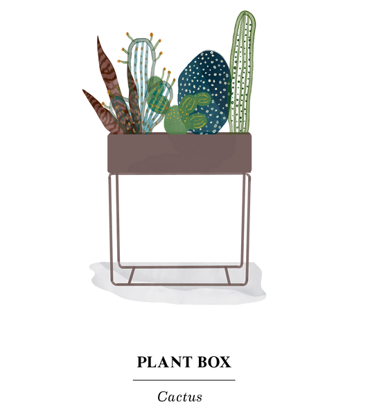 plant box ferm living