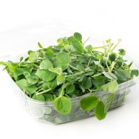 Pea+Shoots,+3.5oz+Box+(Box)