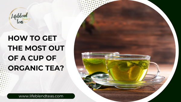 How to Get the Most Out of a Cup of Organic Tea?