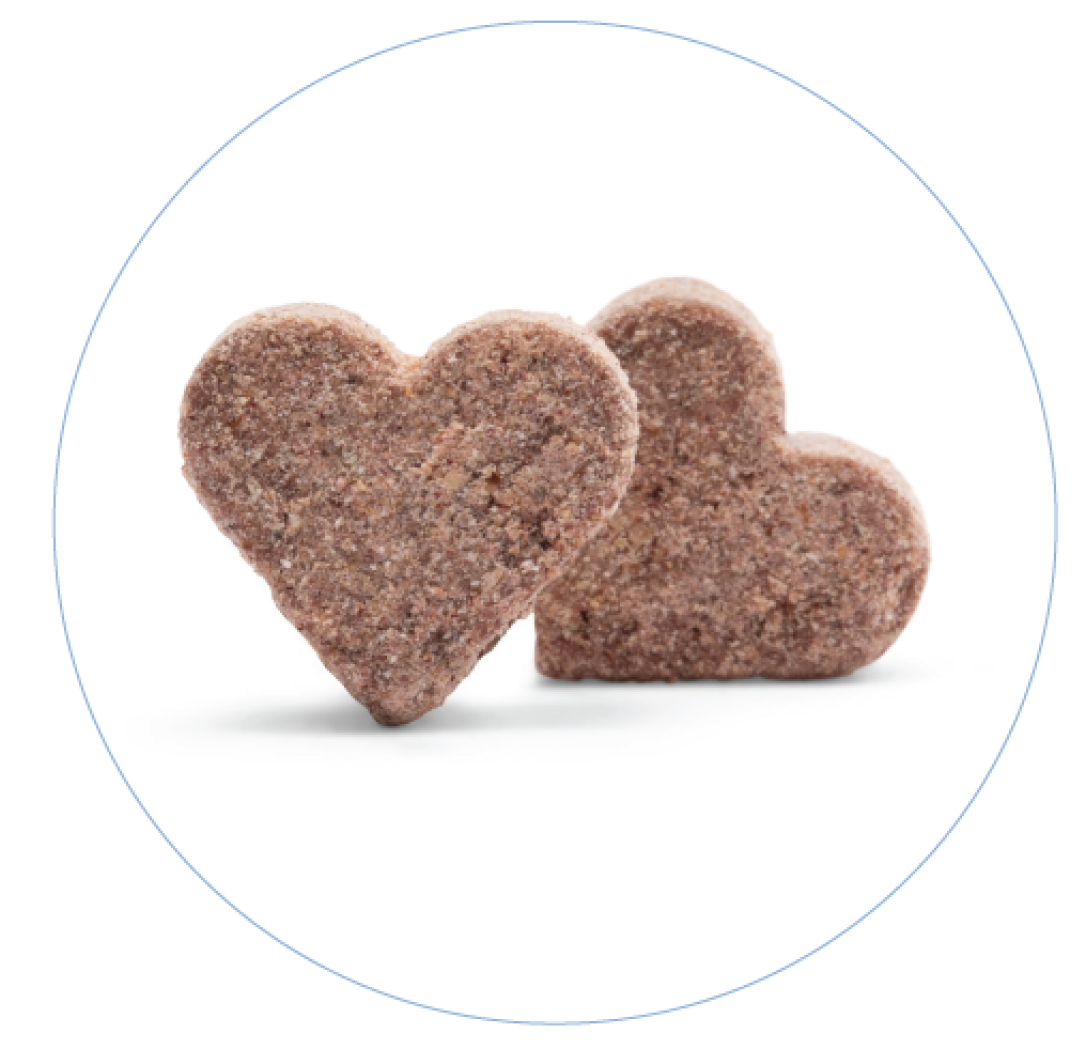 Two heart-shaped brown cookies on a white background.