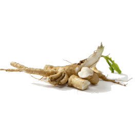 Chicory Root - Prebiotic