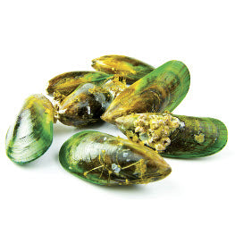 Green Lipped Mussels (perna canaliculus)