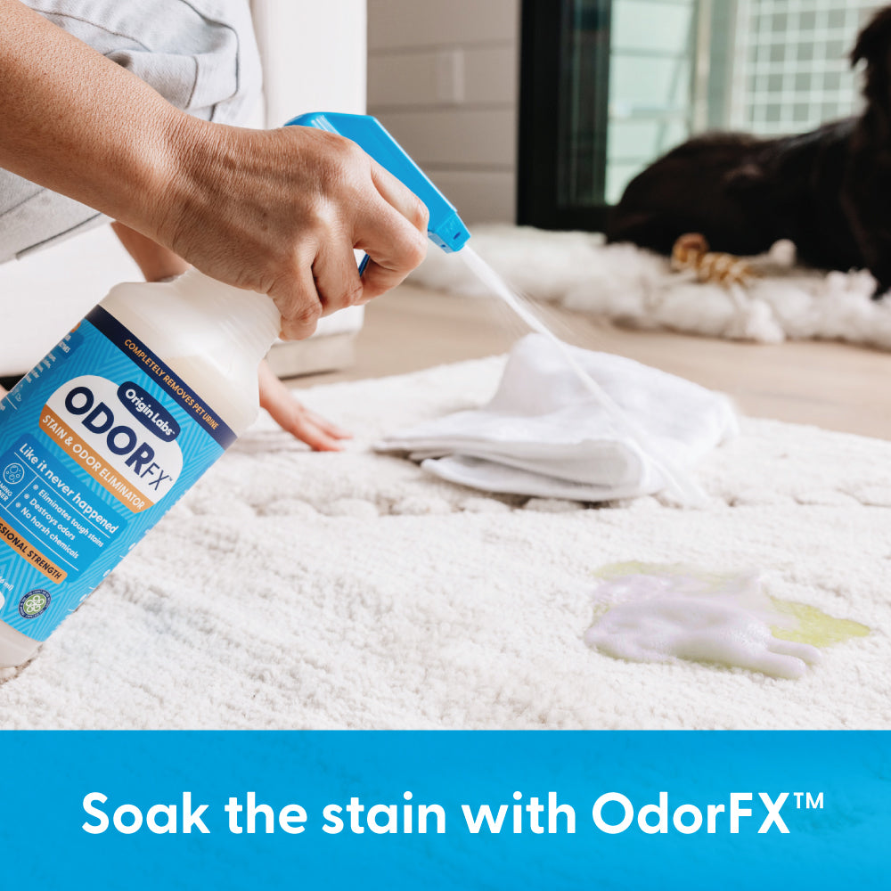 Step 1: Soak the stain with OdorFx