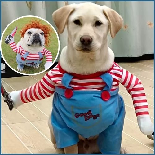 deguisement-pour-chien-couteau
