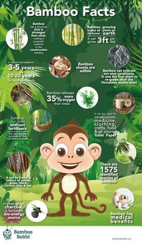 Bamboo Bobbi Bamboo Facts for children.