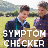 Sheep Symptom Checker Link