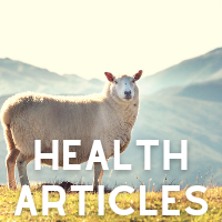 Health Articles Link