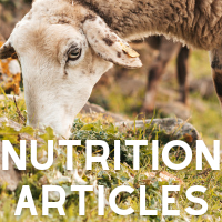 Nutrition Articles Link