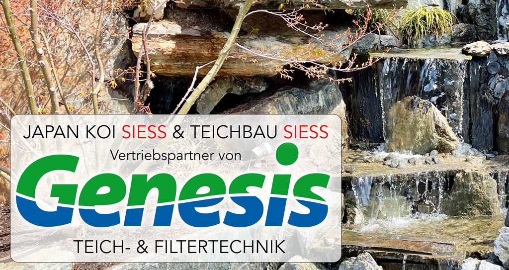 Banner Japan Koi Siess Vertriebspartner für Genesis Teich- & Filtertechnik