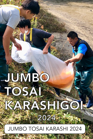 Jumbo Tosai Karashigoi