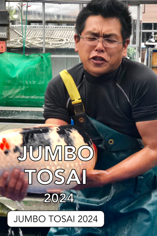Konishi Jumbo Tosai