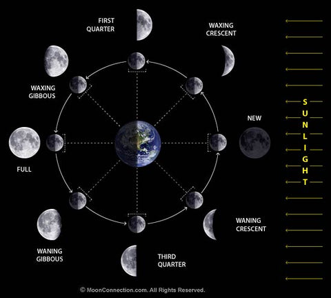 The Lunar Cycle Diagram
