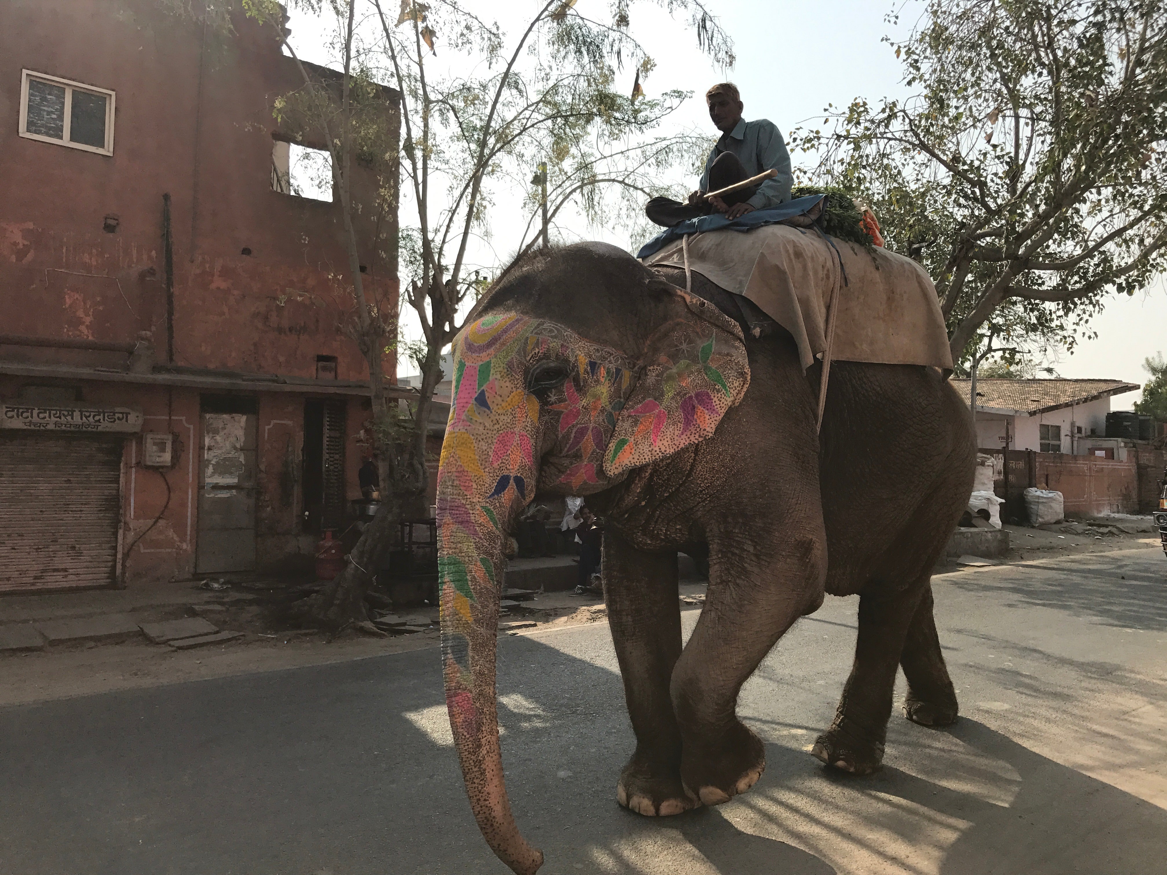 Inspiración Natura en la India