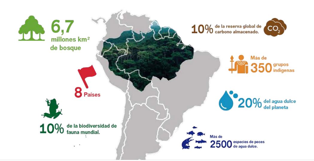 ¿Por qué colaboramos en la selva amazónica?