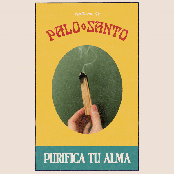 Palo Santo: un ritual de purificación para tu alma. – Natura Selection