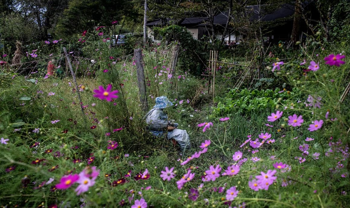 Nagoro - Shikoku