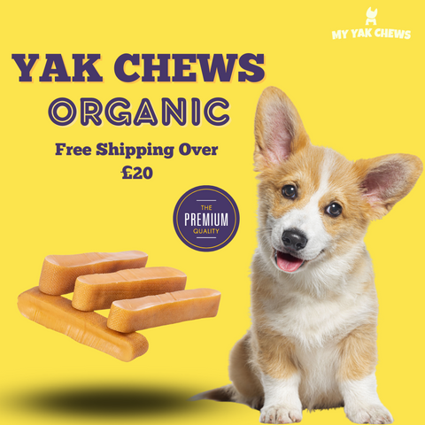 Yak Chews For Dogs Promotional Image