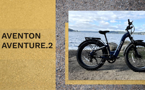 Navigating Canada's Urban Jungle:  Aventon aventure.2  in City Traffic