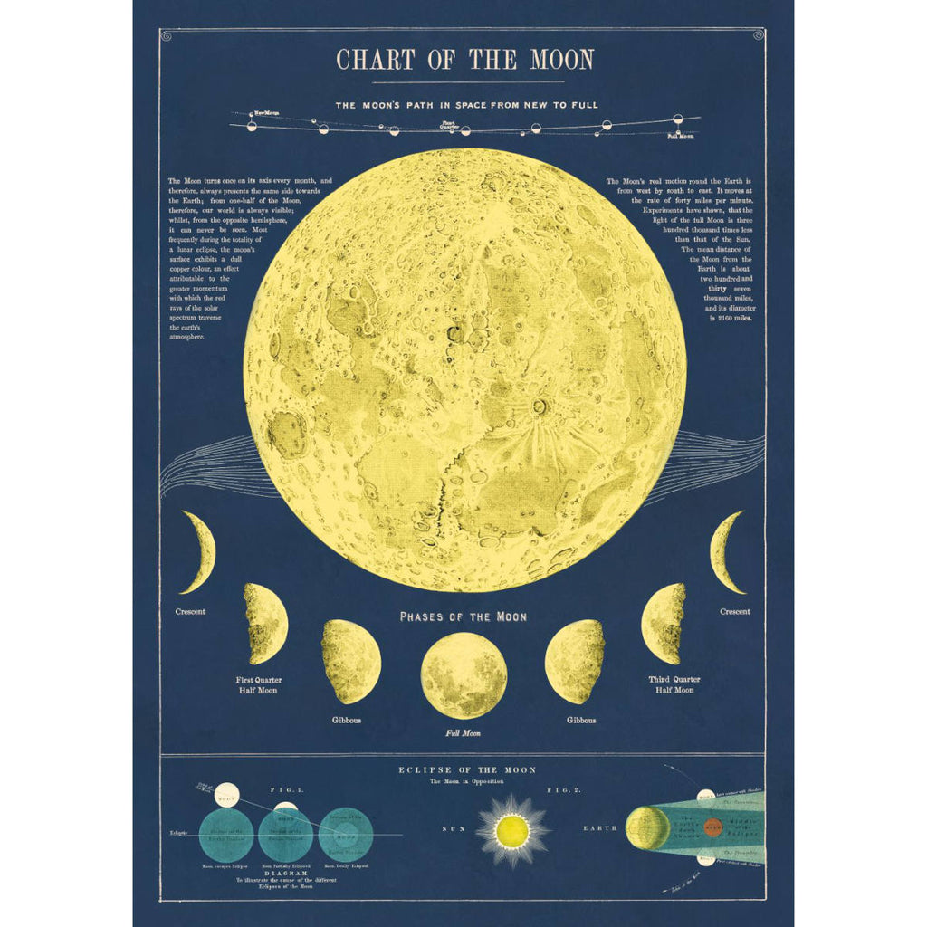 Moon phases / cosmic vintage chart poster print – Six Things Shop Australia