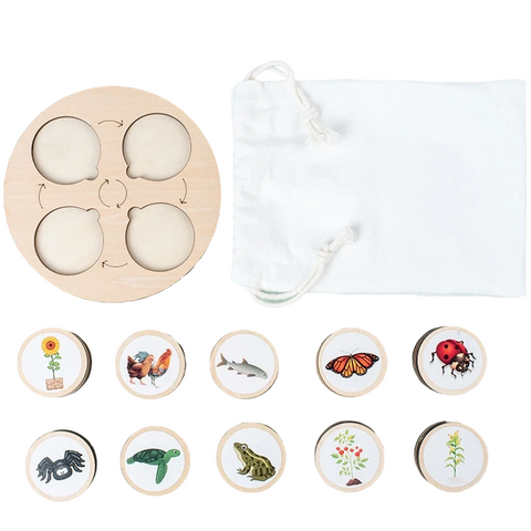 Montessori-Life-Cycle-Board-Kit